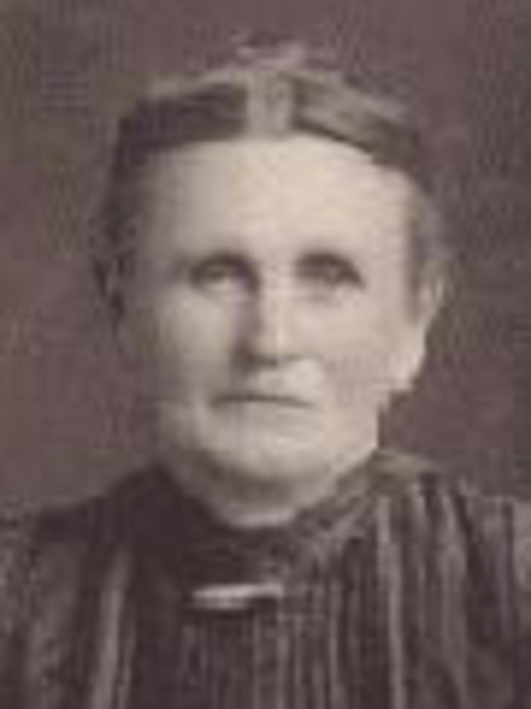 Martha Ellen Powell (1849 - 1925) Profile